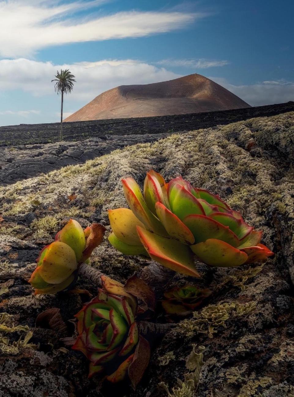Lanzarote Casa Volcanica-Anclada Sobre La Lava Del Volcan Montana Blanca Luaran gambar